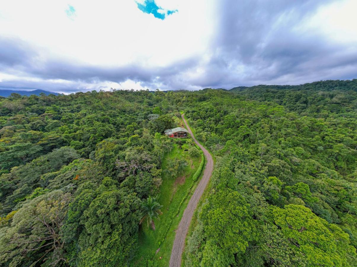 לינה וארוחת בוקר La Tigra  Birds & Breakfast Costa Rica מראה חיצוני תמונה