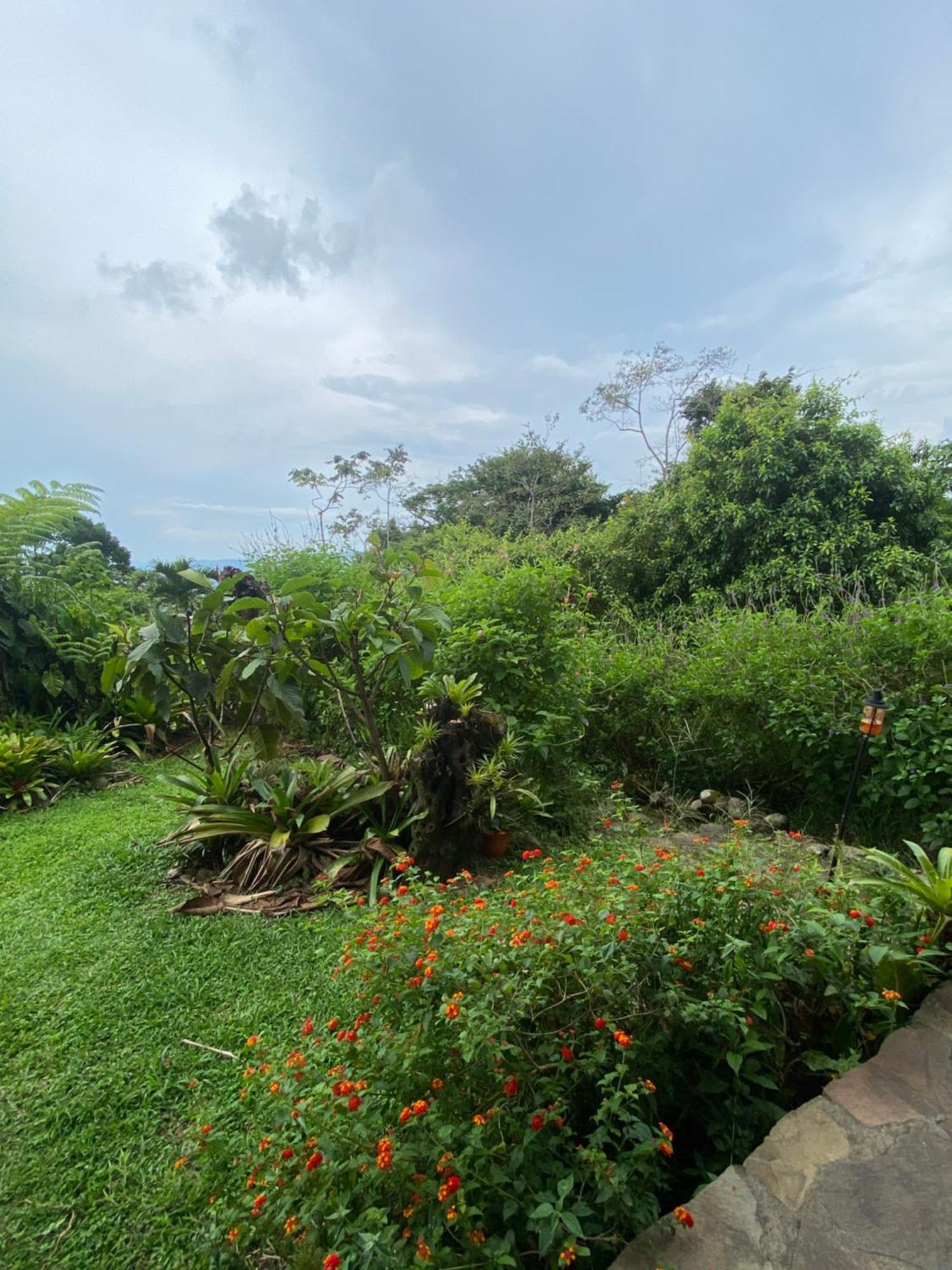 לינה וארוחת בוקר La Tigra  Birds & Breakfast Costa Rica מראה חיצוני תמונה