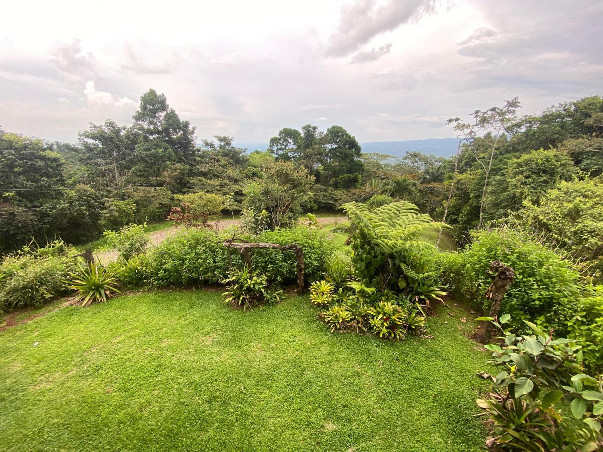לינה וארוחת בוקר La Tigra  Birds & Breakfast Costa Rica מראה חיצוני תמונה