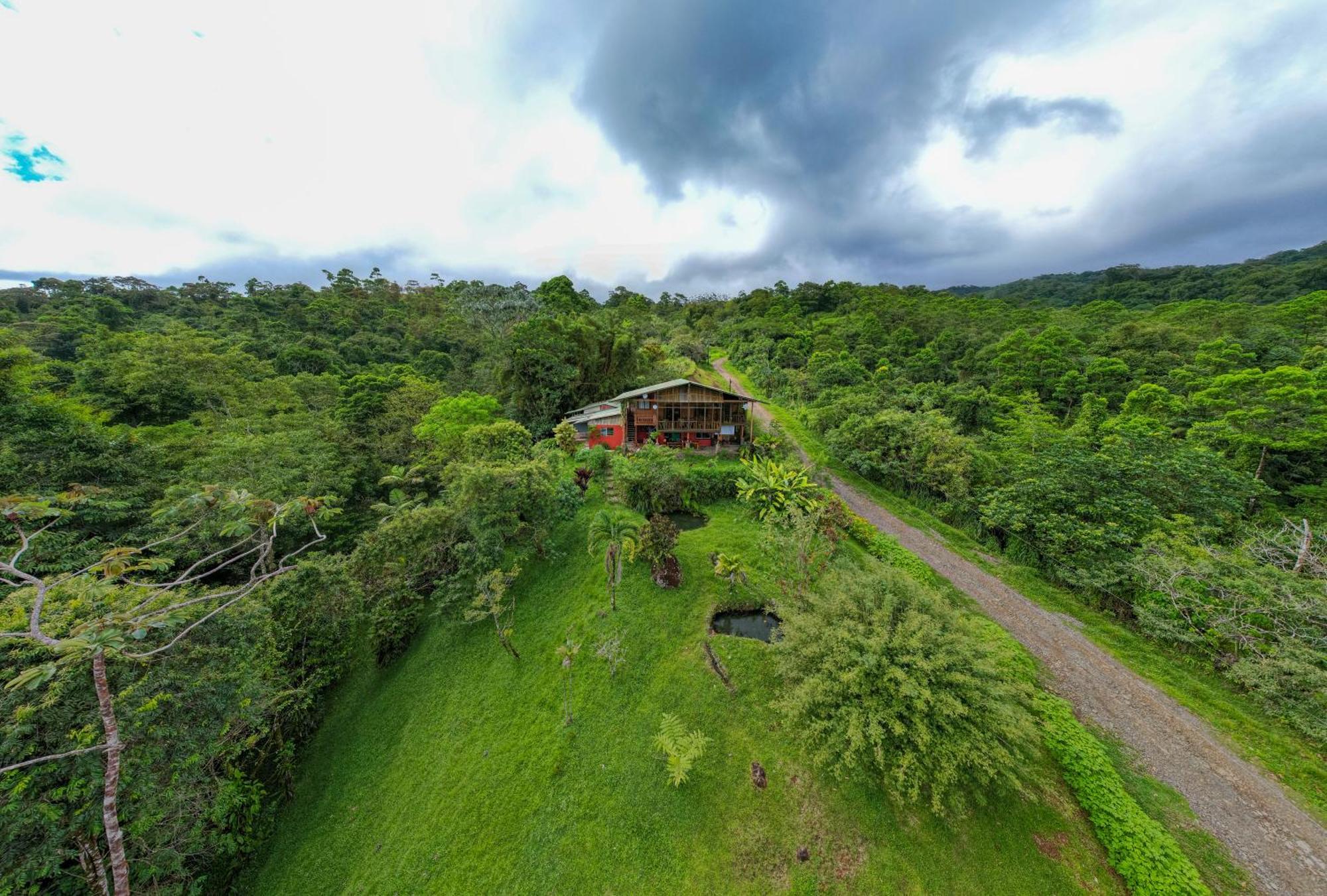 לינה וארוחת בוקר La Tigra  Birds & Breakfast Costa Rica מראה חיצוני תמונה