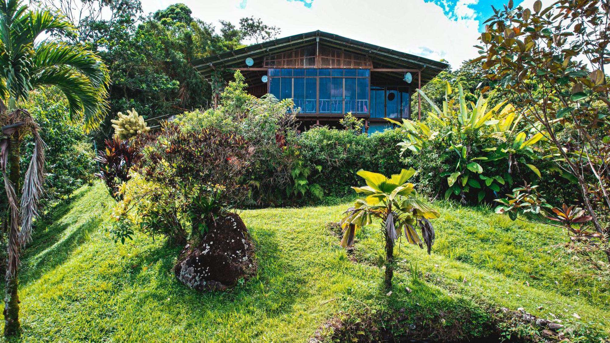 לינה וארוחת בוקר La Tigra  Birds & Breakfast Costa Rica מראה חיצוני תמונה
