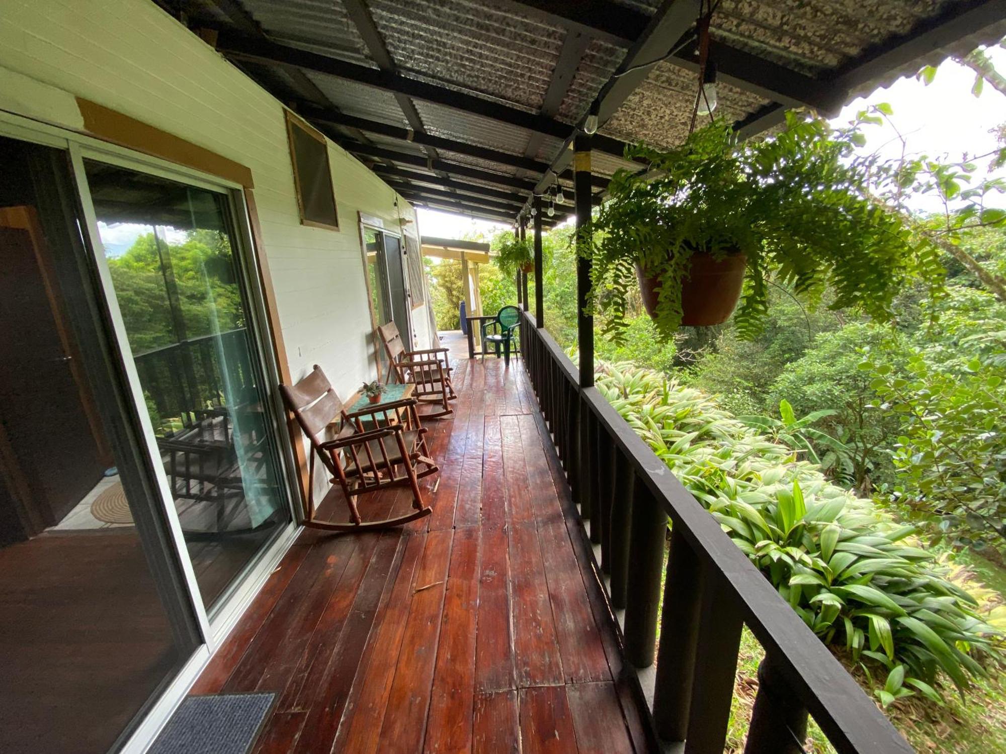 לינה וארוחת בוקר La Tigra  Birds & Breakfast Costa Rica מראה חיצוני תמונה